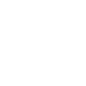 15 로고